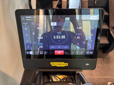 Afternoon Elliptical