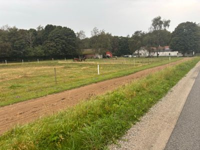 Morning Run