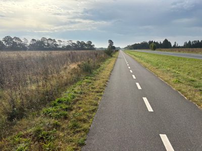 Morning Run