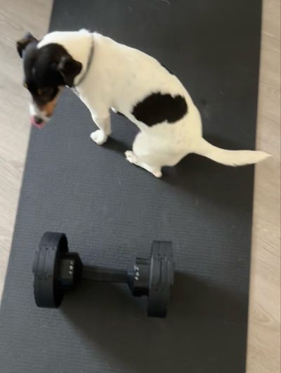 Morning Weight Training | Home 🏡 Lower