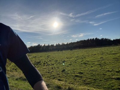 Afternoon Run 🐮