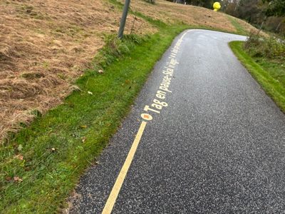 Afternoon Run | 3K Tempo start and then Fartlek(issssh)