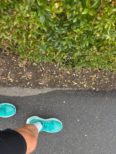 Afternoon Run | 3K Tempo start and then Fartlek(issssh)