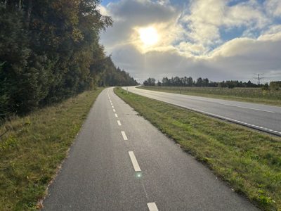 Morning Run | 20 easy ➡️ 20 faster