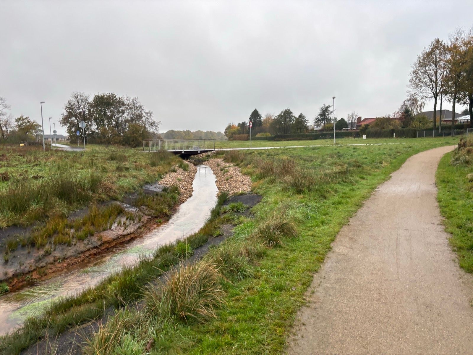 Morning Run | 4 x 15s Strides