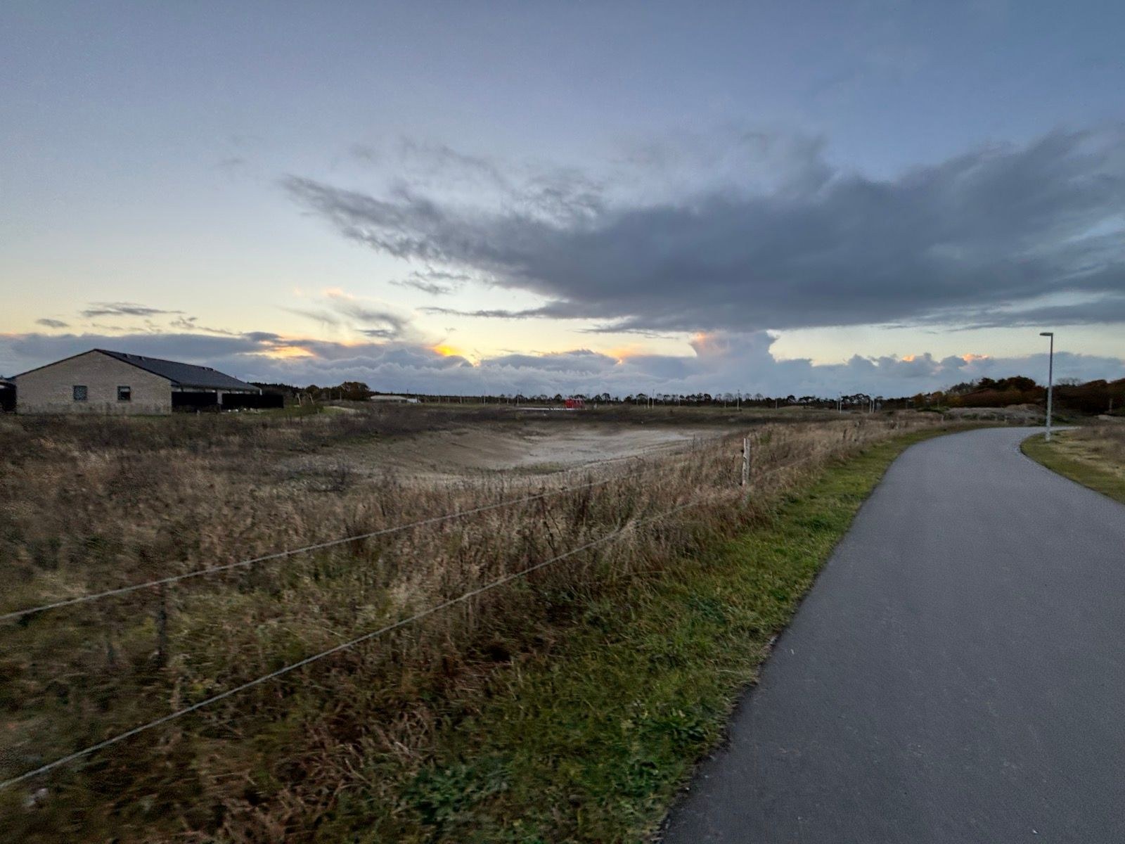 Afternoon Run 🐮🔦