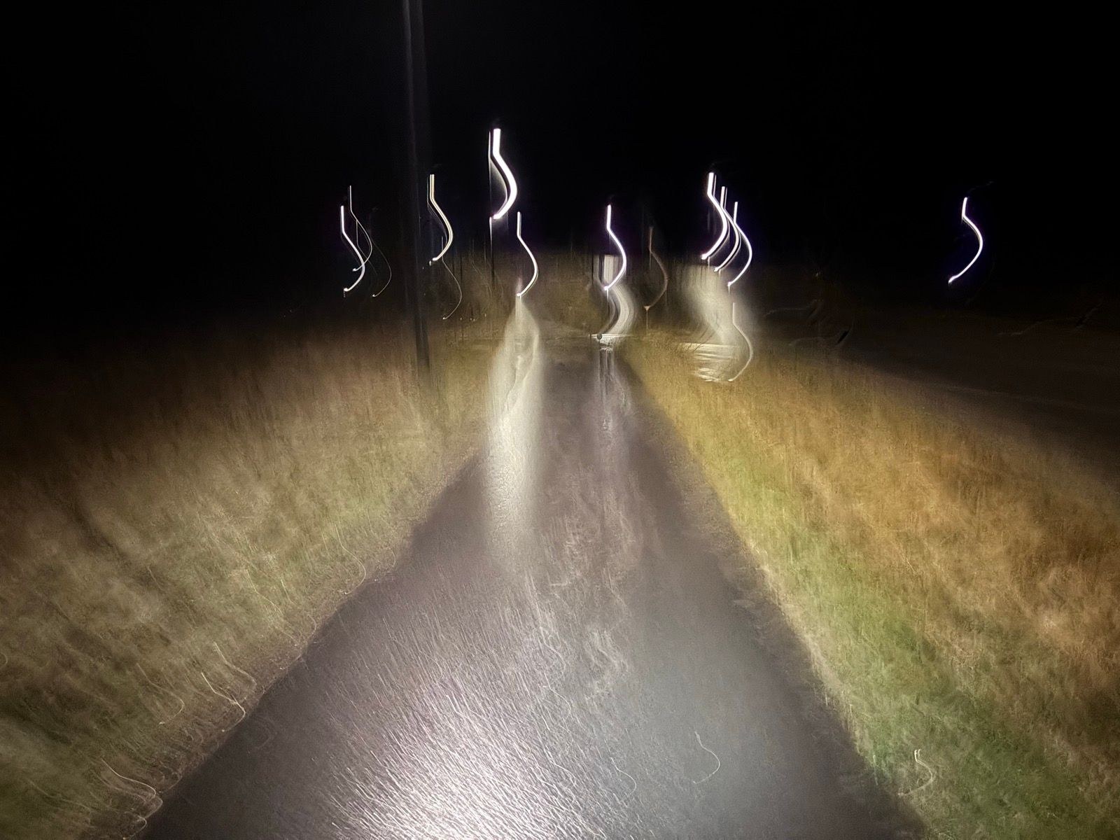 Morning Run | ❄️🧊⛸️🥶