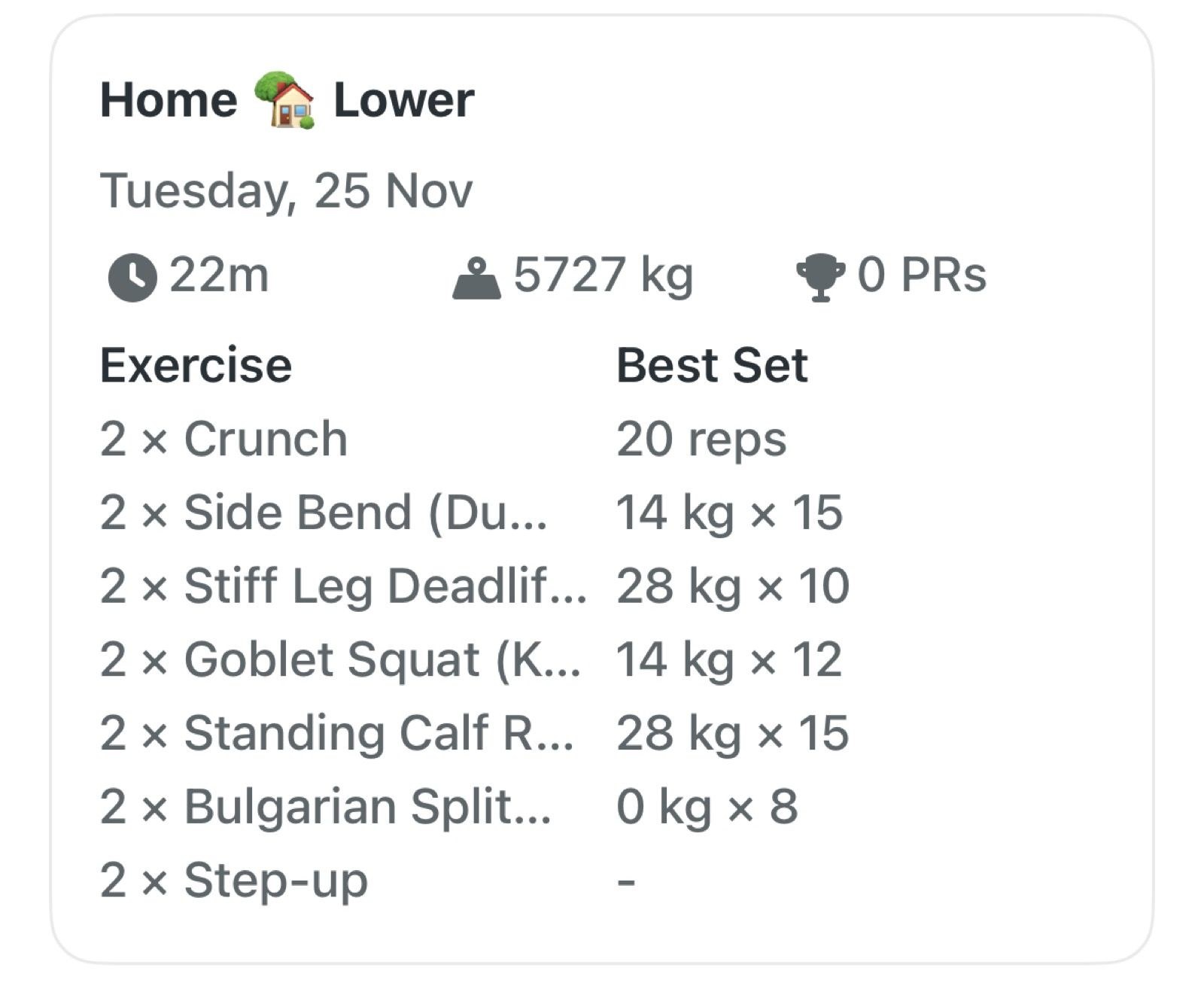 Evening Weight Training | Home 🏡 Lower