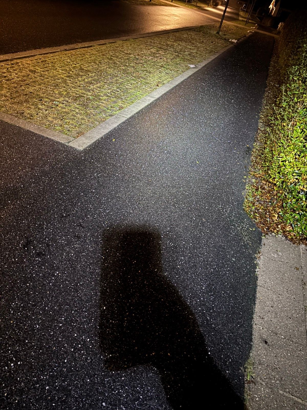 Morning Run | Early run before celebrating Casper’s 7th birthday 🎁 🥳