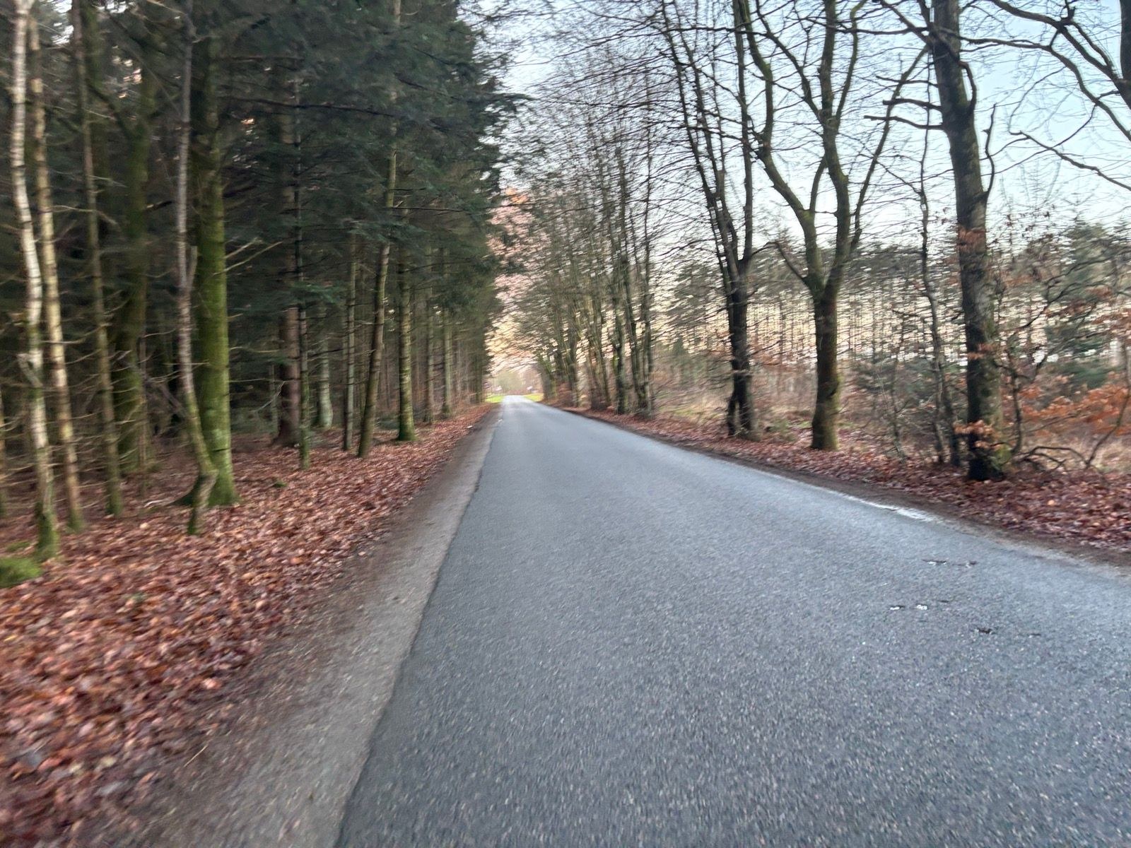 Afternoon Run ⛄️