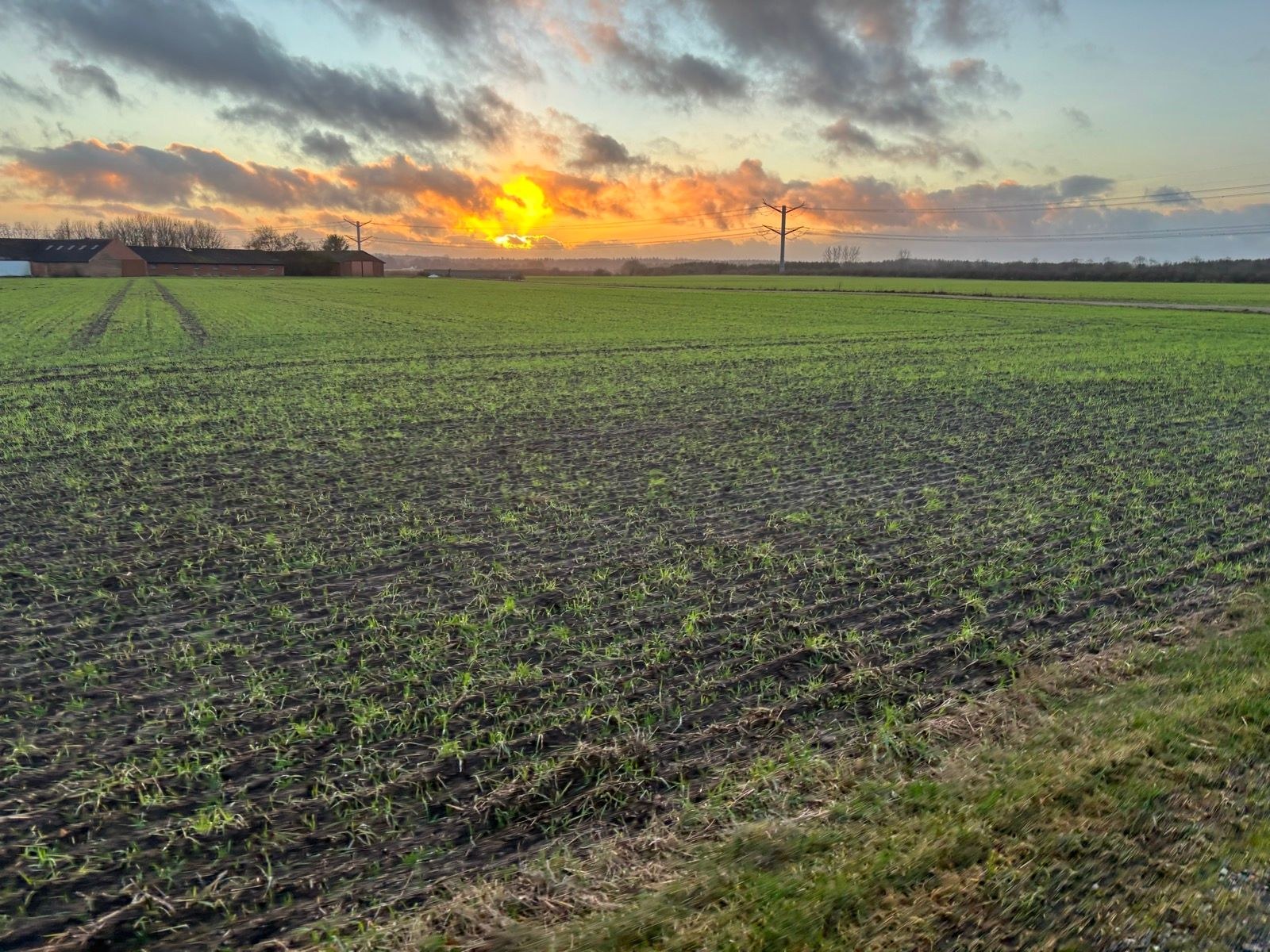 Afternoon Run ⛄️