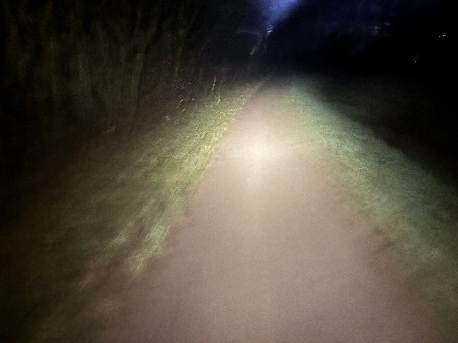 Afternoon Run ⛄️