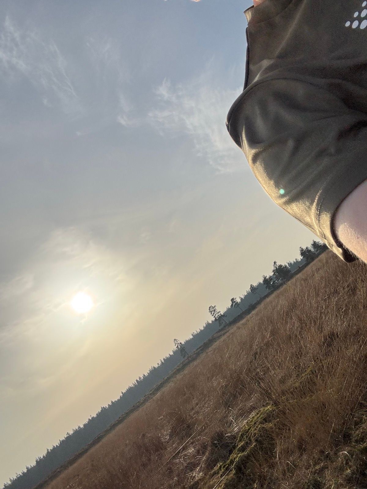 Afternoon Trail Run 🎬🍿