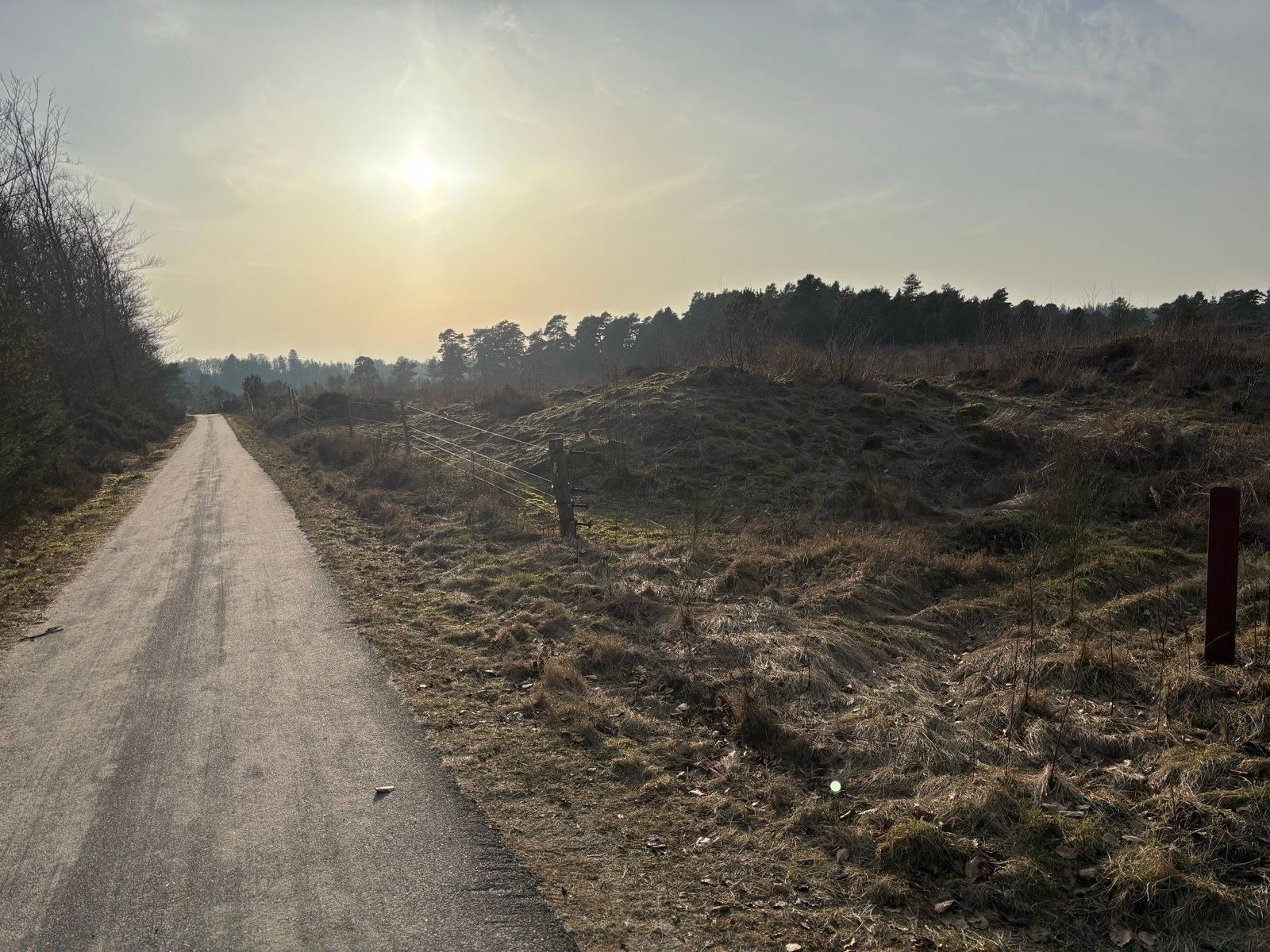 Afternoon Trail Run 🎬🍿