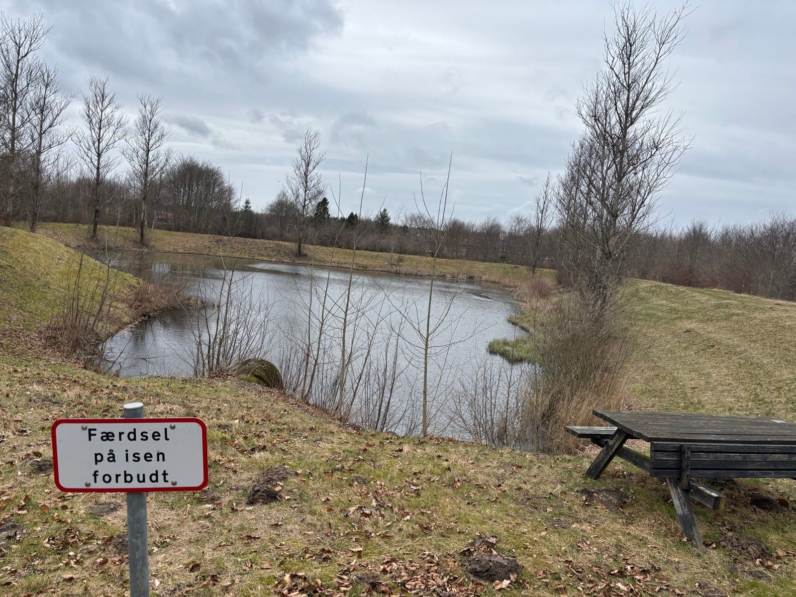 Afternoon Run | NEW Shoes: ✨ASICS Superblast 2✨👏🏻