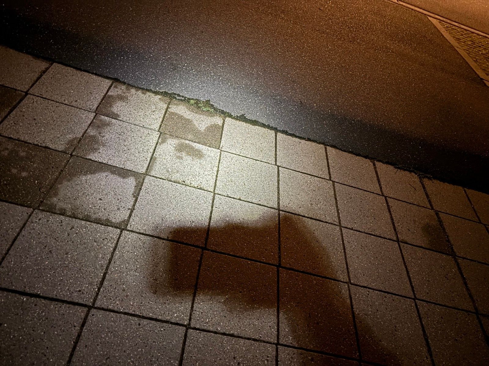 Morning Run | My Daughter’s Confirmation Day 🥳