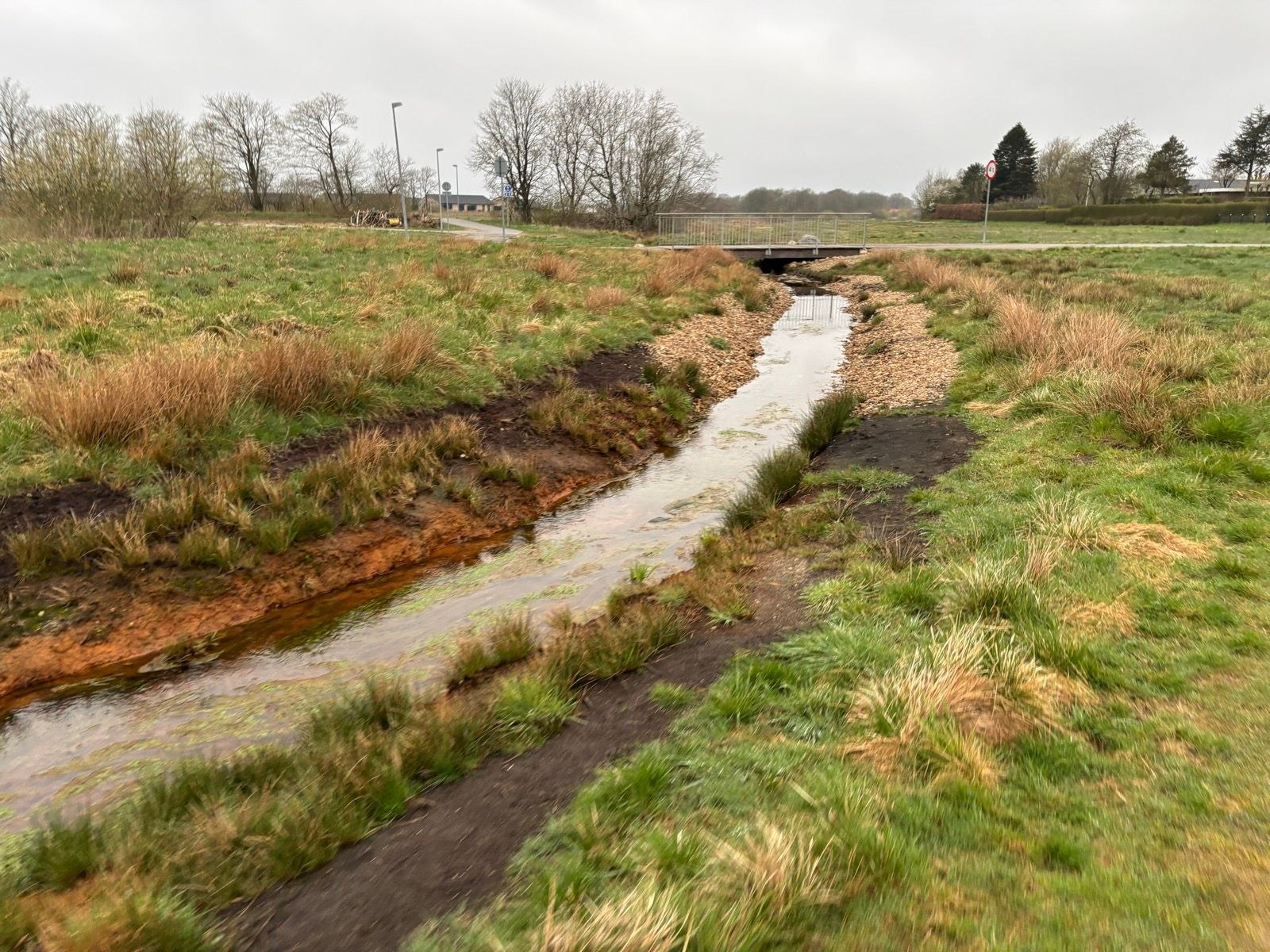 Morning Run | My Daughter’s Confirmation Day 🥳