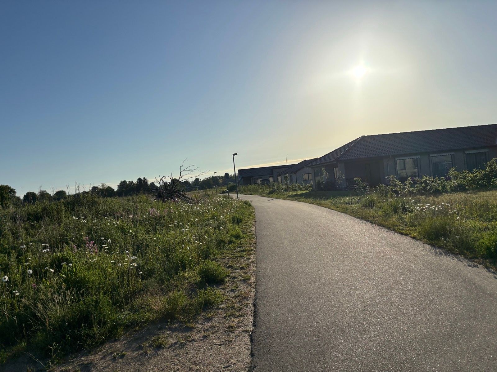 Morning Run ☀️🐦‍⬛