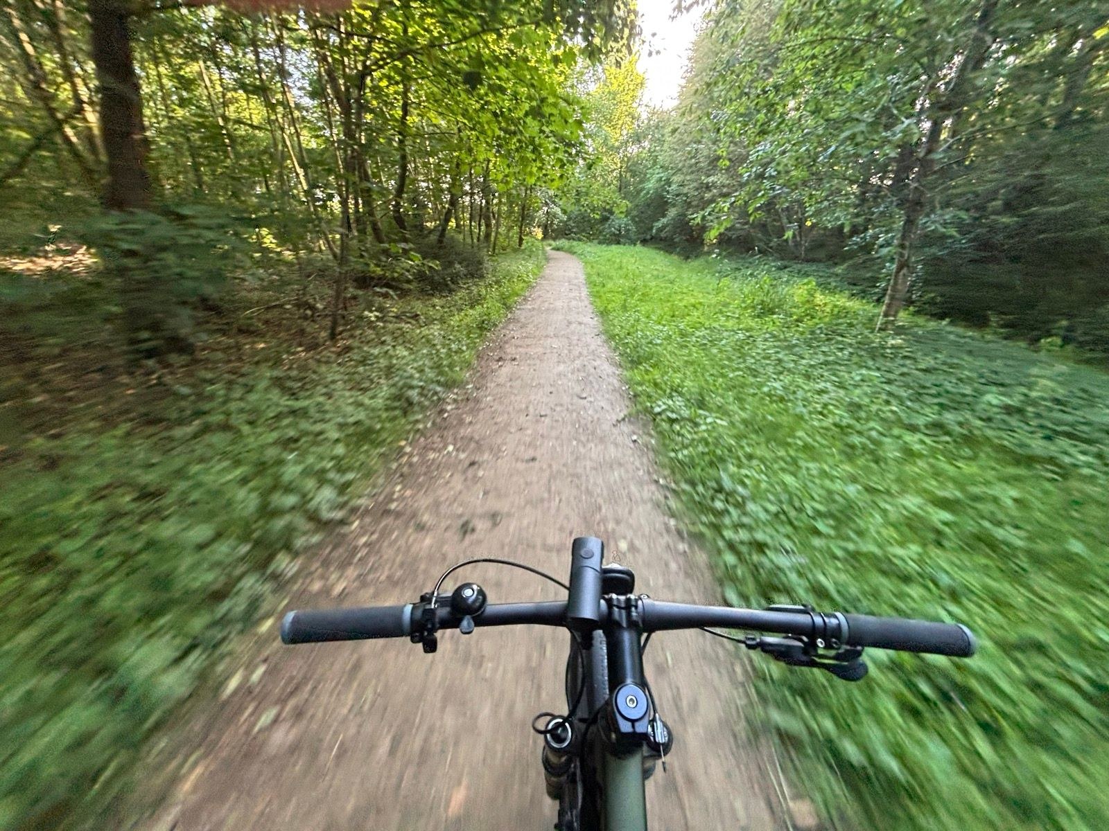 Evening Ride