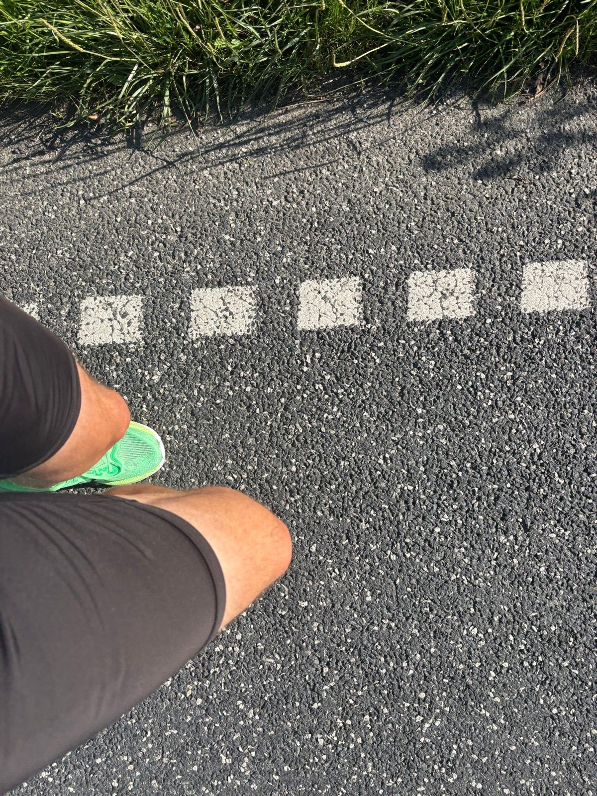 Afternoon Run