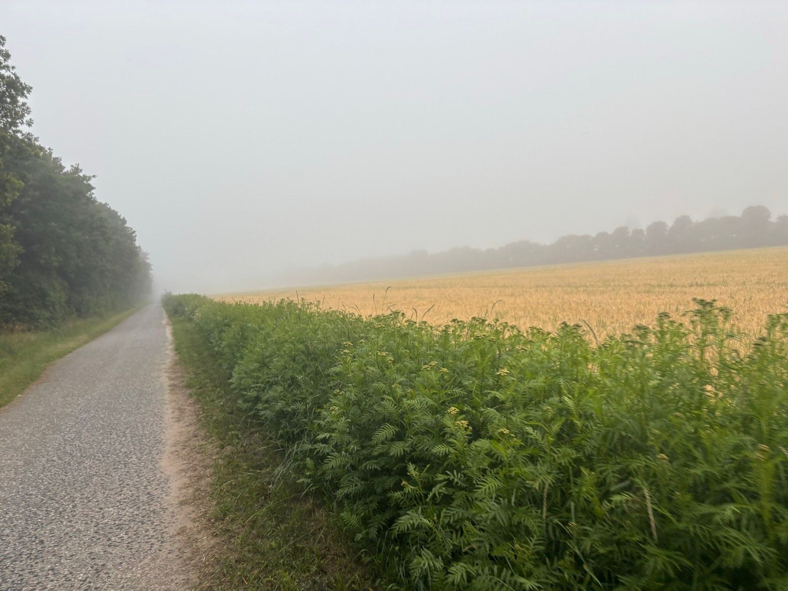 Morning Run | GoooOod Morning ☕️🤠 | Vacation In a Few Hours 🥳🏝️