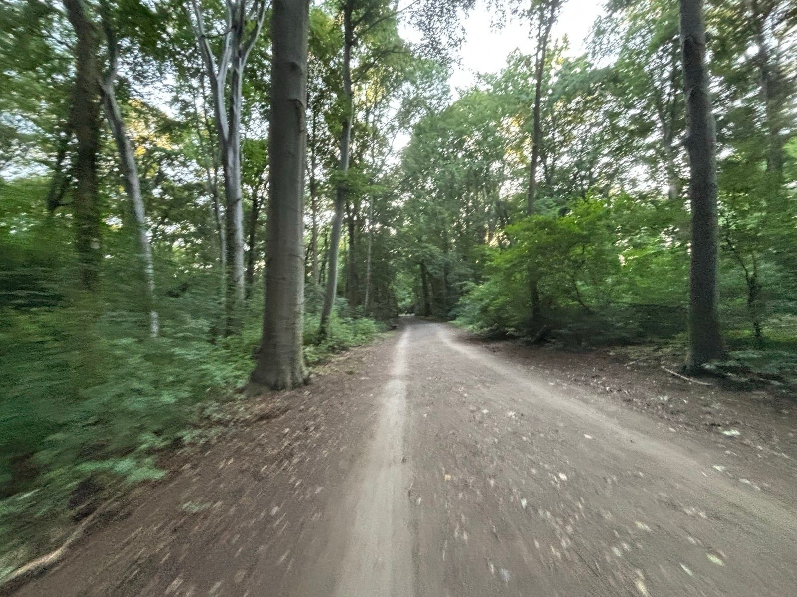 🇩🇪 Morning Run | Hello Hannover ☕️🥳