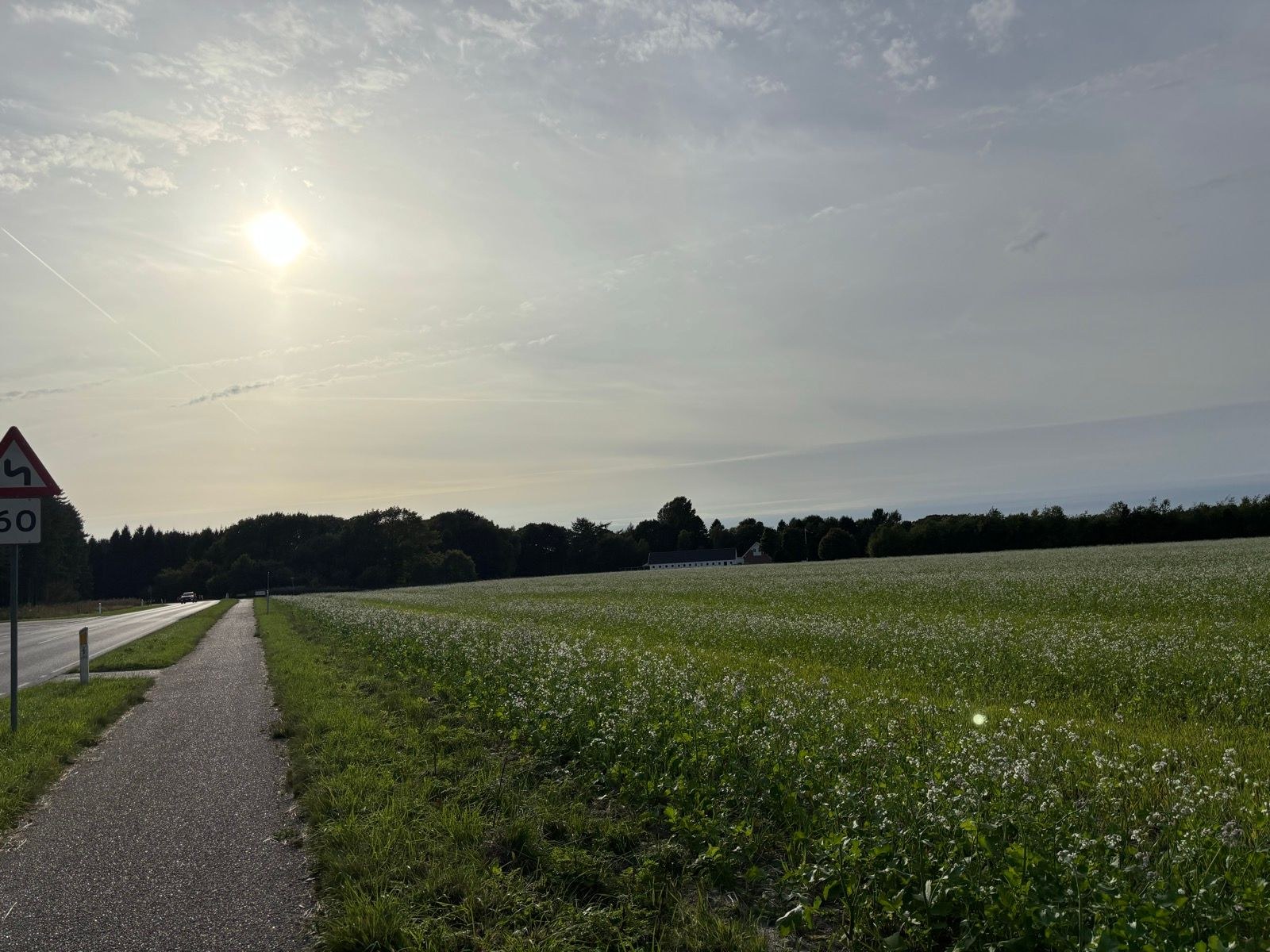 Afternoon Run