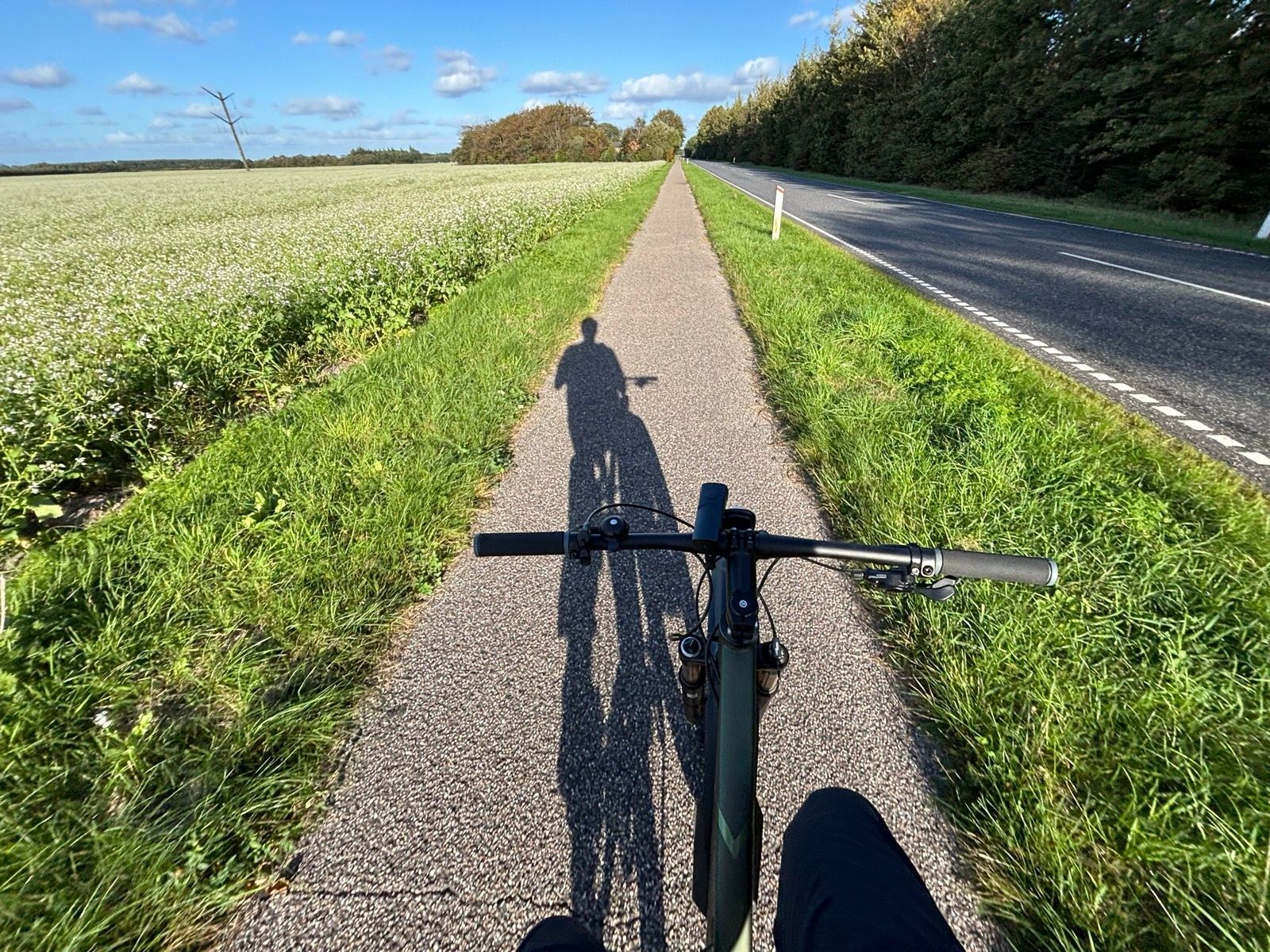 Afternoon Ride