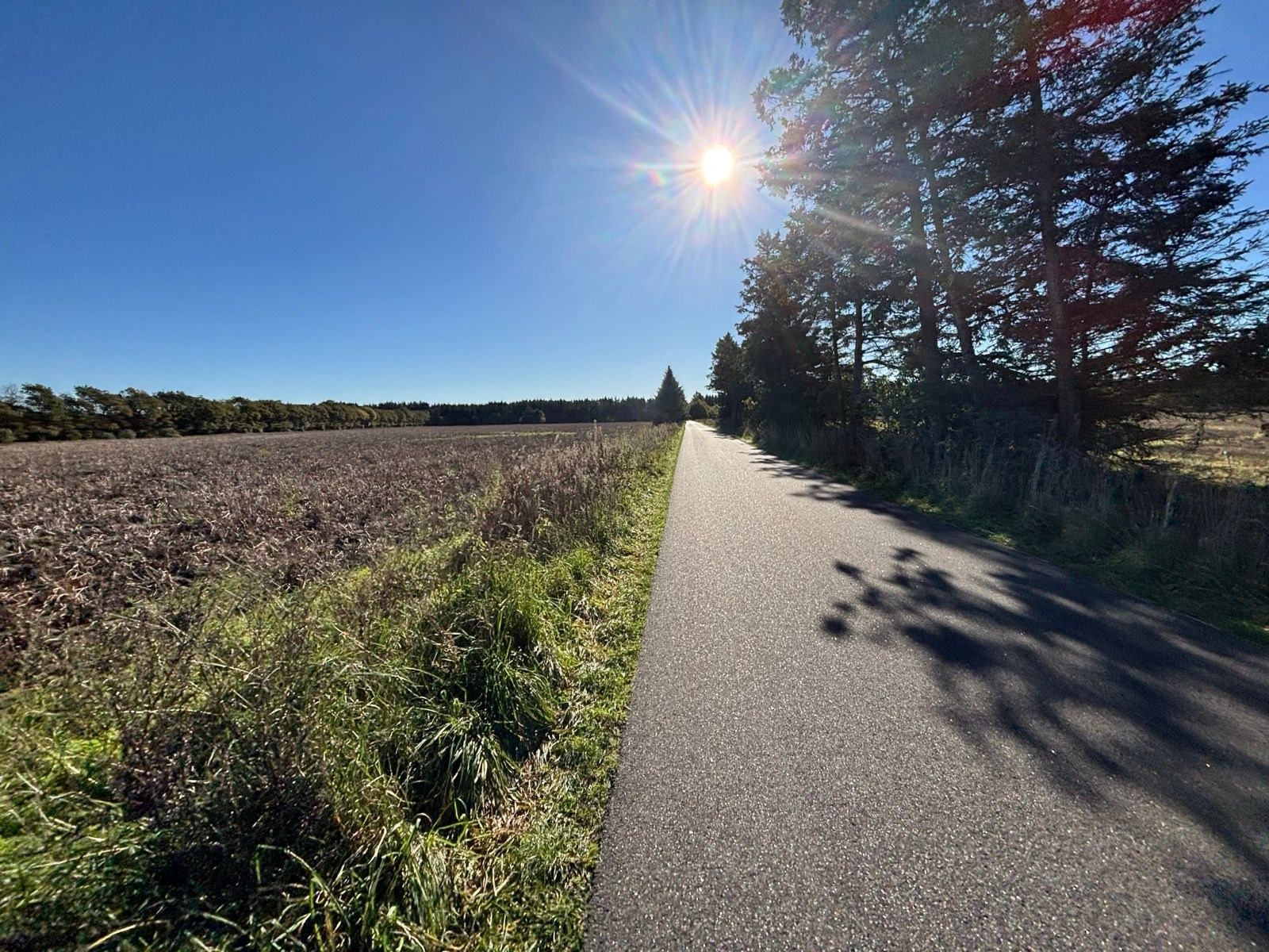 Lunch Run | Tempo | 3 x 2K with 1K recovery