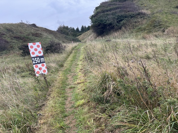 Photo from Mors 100 Miles - 2026